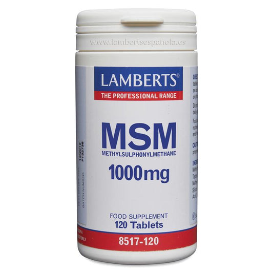 MSM 1000 mg da Lamberts Natural Source 120 comprimidos