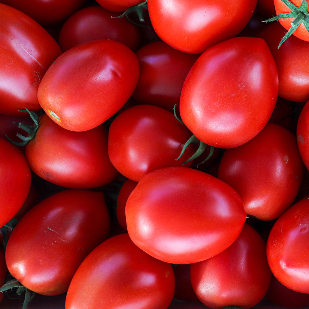 Plantón Tomate Pera Rastrero 2 Unidades - Plantabo_1