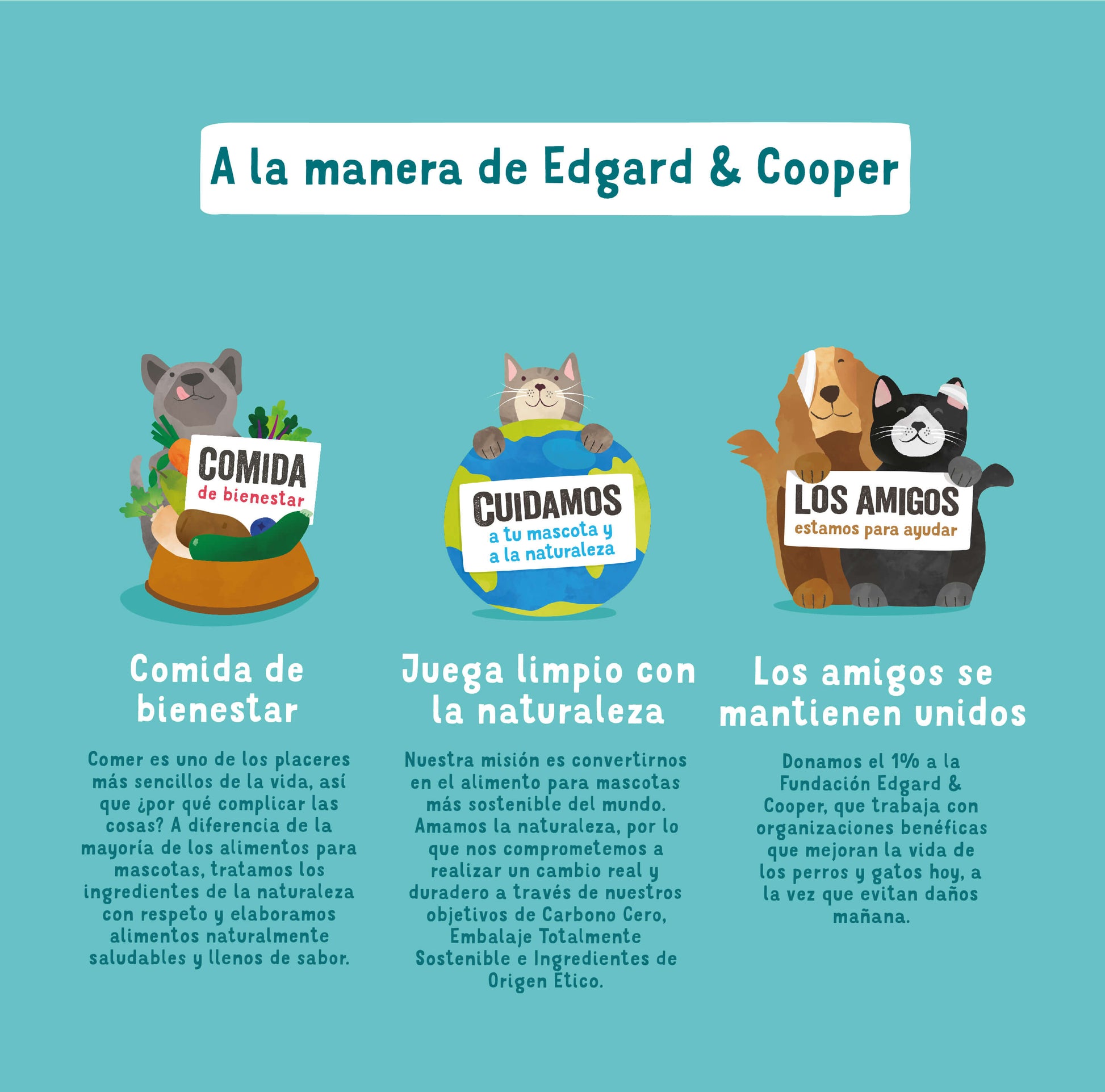 Lata de comida para perros con salmón y pavo sin cereales | Edgard & Cooper 400 g