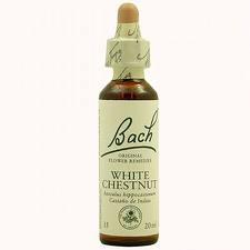 Bach 35 Castanha Branca 20 ml (Castano Blanco) Bach