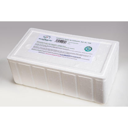 Pacote de vermicompostagem multijardim Lombrihogar com 3 tabuleiros