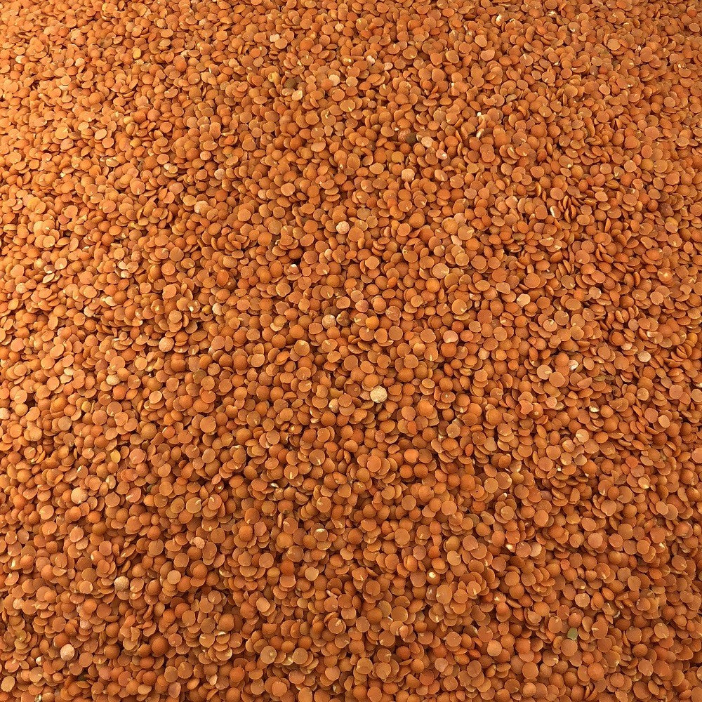 Lenteja Coral Bio Granel 1 Kg_2