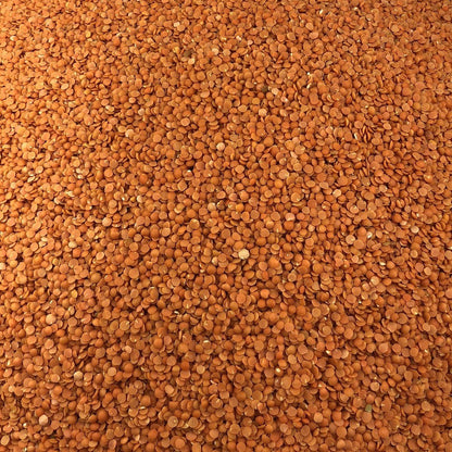 Lenteja Coral Bio Granel 1 Kg_2
