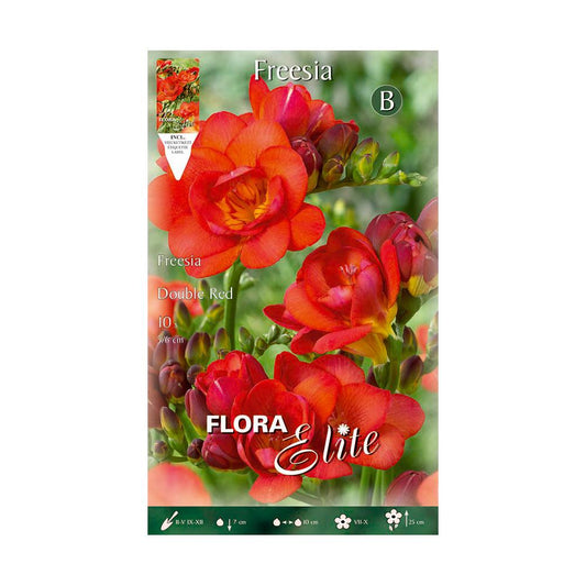 Bolbos Elite Double Orange Freesia 10 unidades