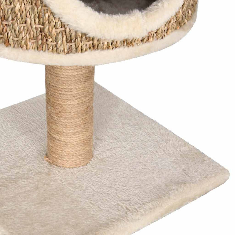 Vidaxl Árbol Para Gatos Con Casa Y Poste Rascador 52 Cm Hierba Marina_5
