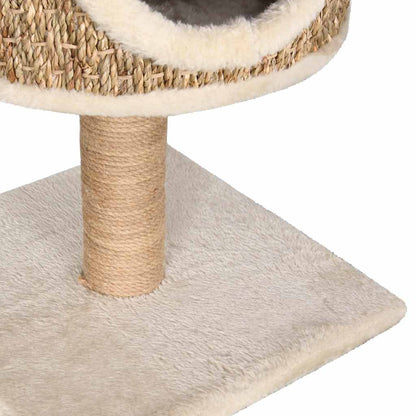 Vidaxl Árbol Para Gatos Con Casa Y Poste Rascador 52 Cm Hierba Marina_5
