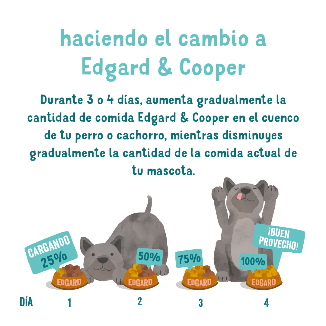 Tarrina de comida para perros con ternera y pato sin cereales | Edgard & Cooper 150 g
