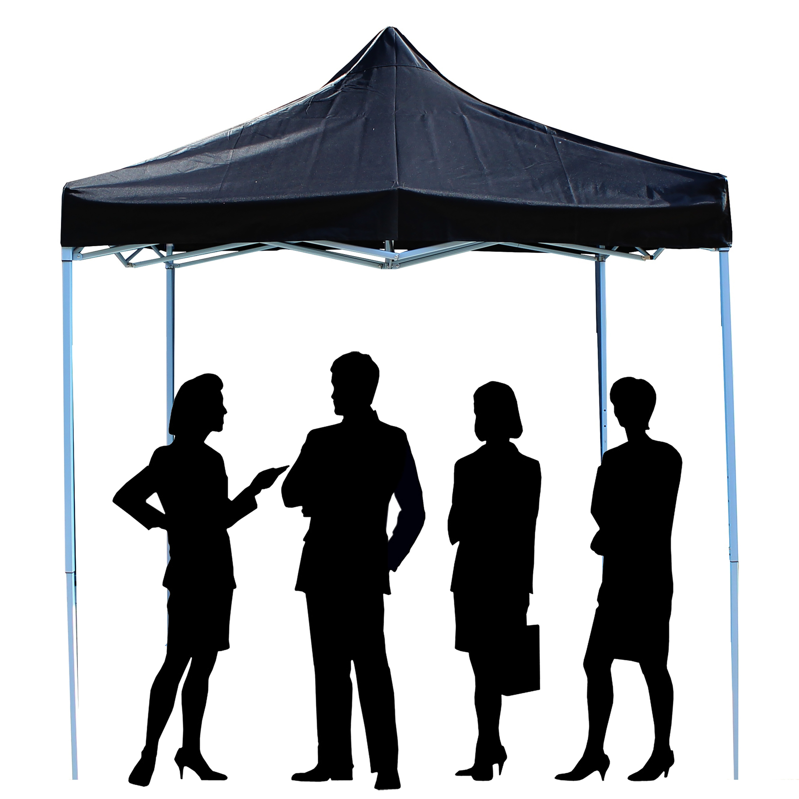 Carpa Plegable 250x250cm Tienda Negra_2