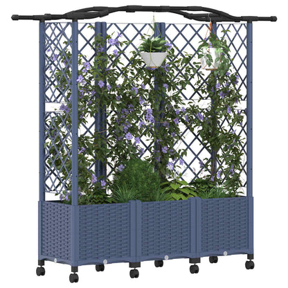 Cama Elevada Con Trellis Y Techo Gris 163 X 40 X 144 Cm Pp_2