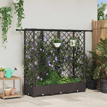 Cama Elevada Con Trellis Y Techo Marrón 164 X 40 X 121 Cm Pp_1