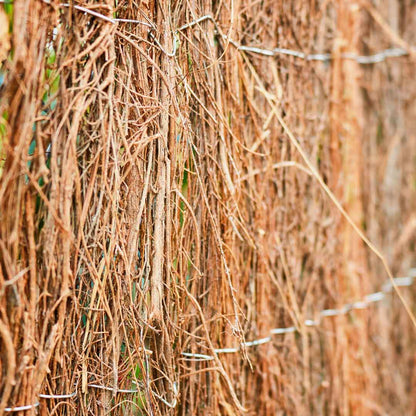 Brezo Ecológico Estándar - Tejido Natural Y Resistente 2x5 M / Multicolor_2