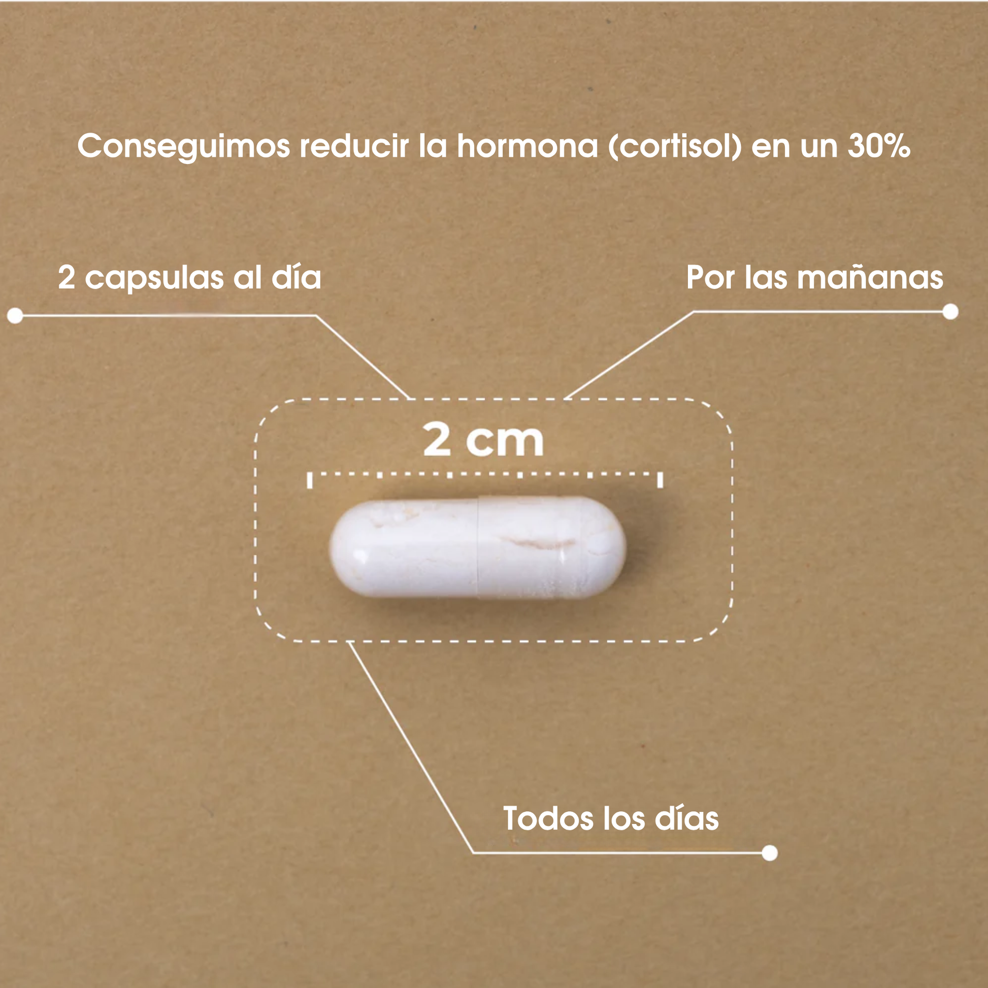 Koi Natur Balance – Fórmula Adaptógena Para El Estrés_2