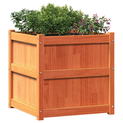 Jardinera Exterior Madera Maciza Pino Marrón Cera 60x60x60 Cm_3