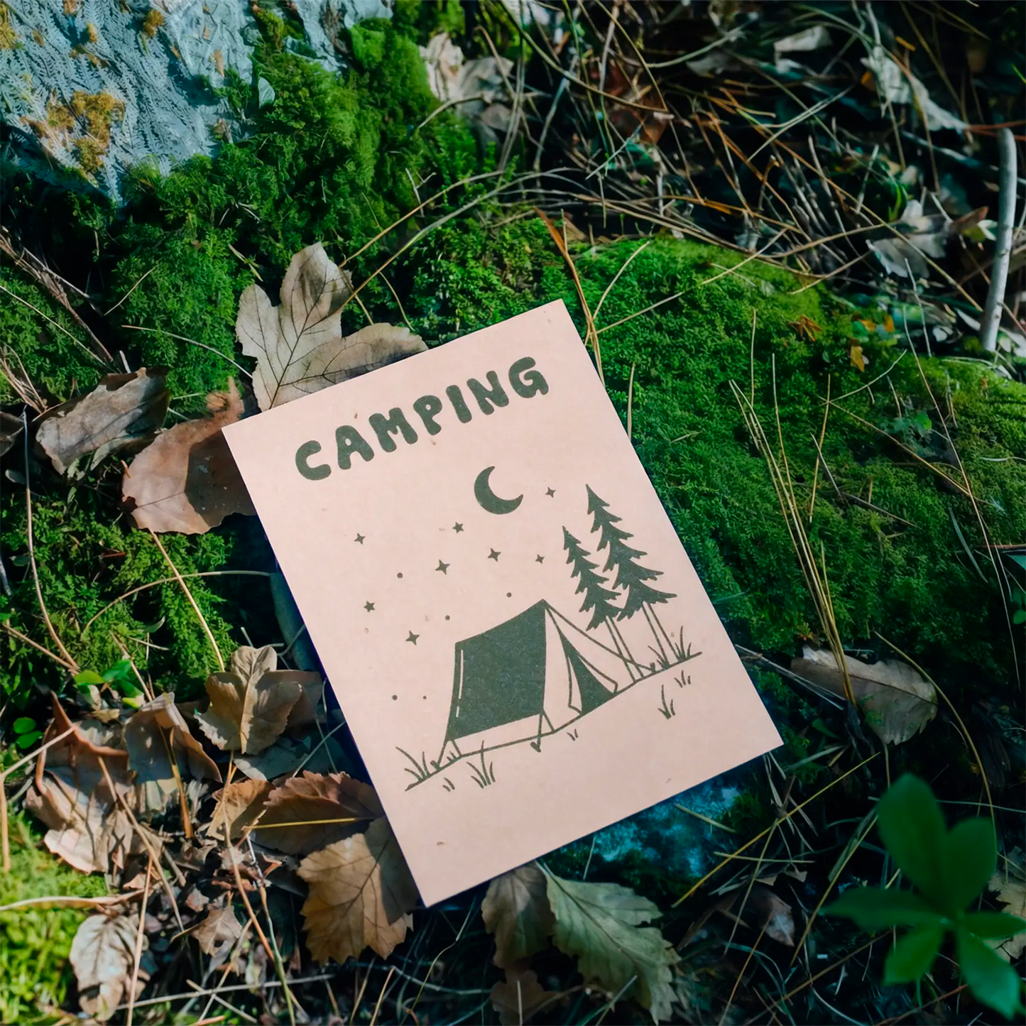 Postal Plantable - Camping_4