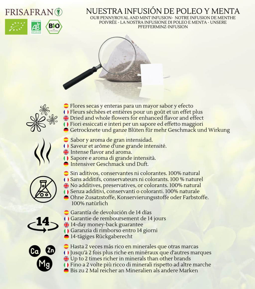 Infusión De Poleo Menta En Pirámides Ecológica | Frisafran 60 Uds_4