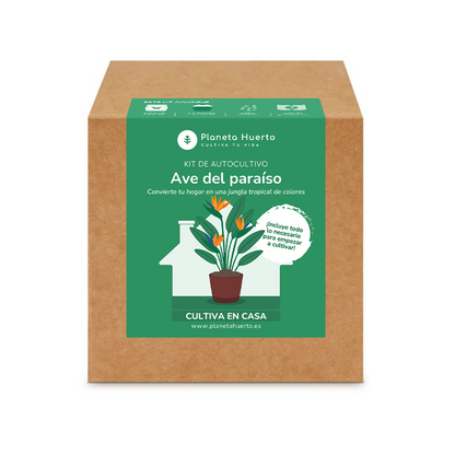 Kit de auto-cultivo de ave-do-paraíso Planeta Huerto