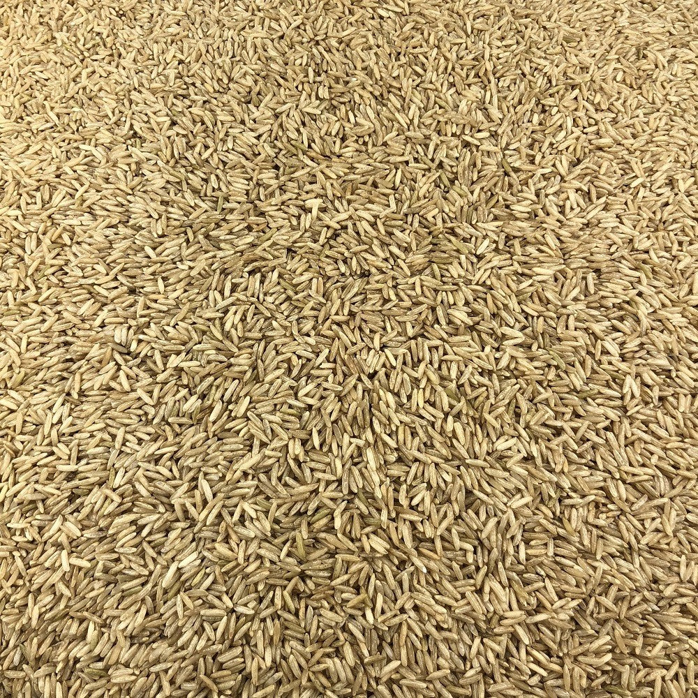Arroz Integral Ecológico Granel 5 Kg_2