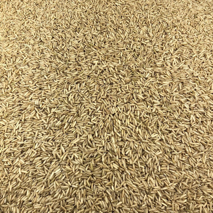 Arroz Integral Ecológico Granel 0,5 Kg_2