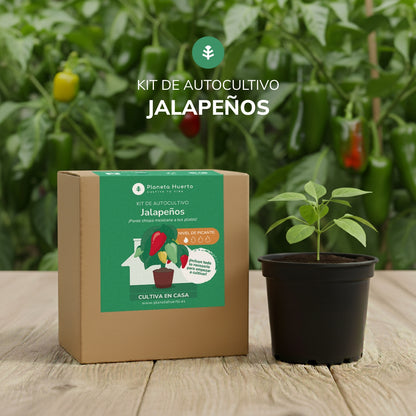 Kit de autocultivo Jalapeño Planeta Huerto