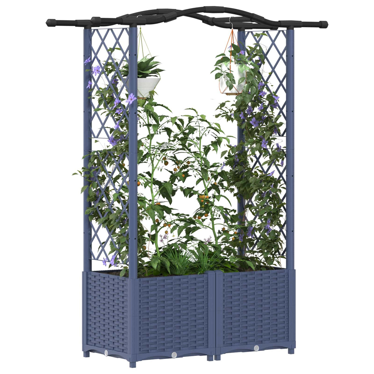Cama Elevada Con Trellis Y Techo Gris 125 X 40 X 138 Cm Pp_2