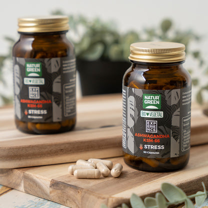 NaturGreen Experience Memória Cérebro Bio 90 cápsulas