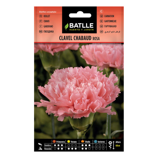 Sementes de cravo rosa Batlle