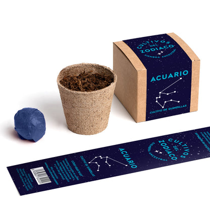 Cultivos Del Zodiaco – Acuario | Kit De Cultivo Con Semillas De Guindillas_2