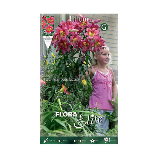 Candeeiros Elite Lilium Tree Satisfaction 2 unidades