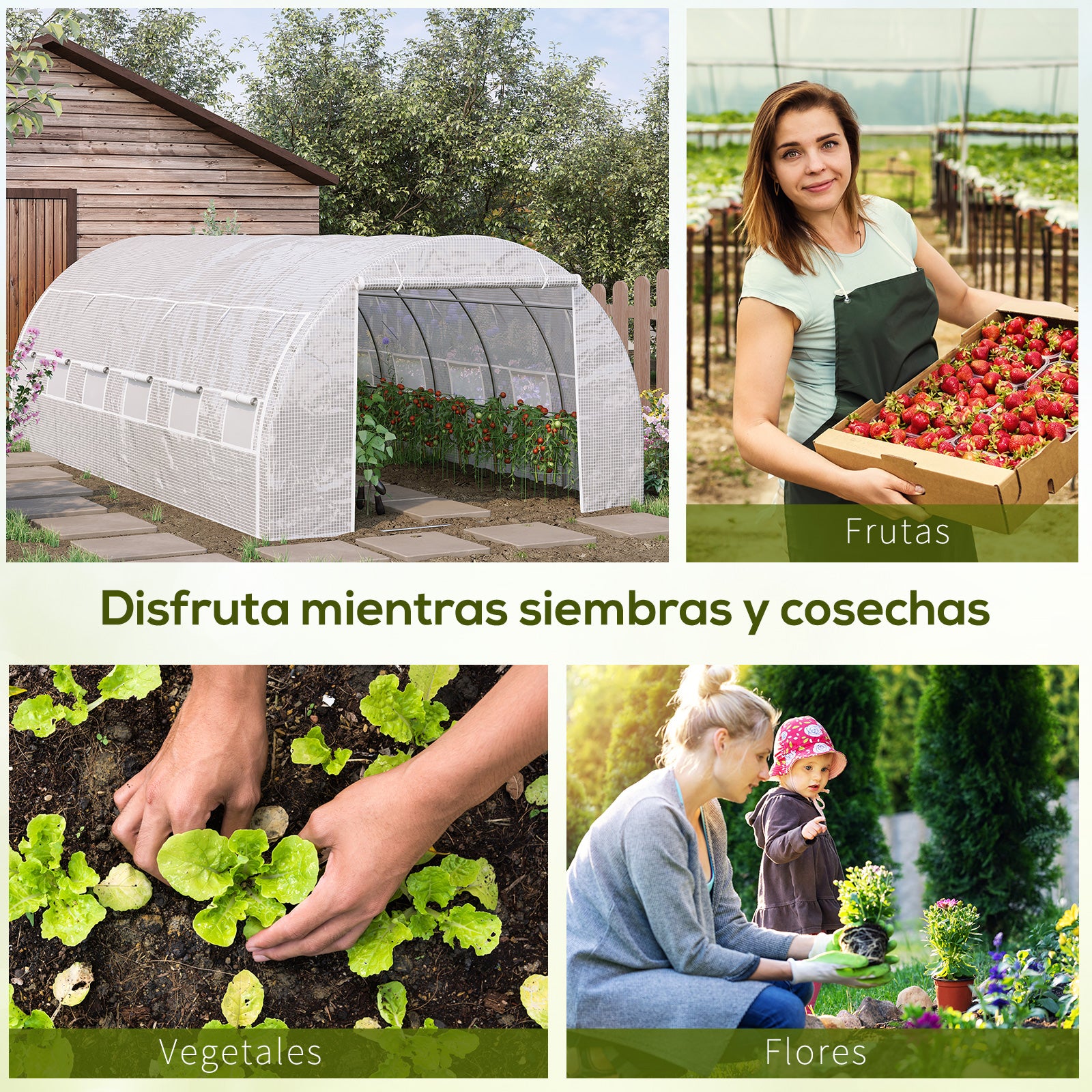 Outsunny Invernadero De Túnel Jardín 6x3x2m Con Puerta Y 12 Ventanas Enrollables_5