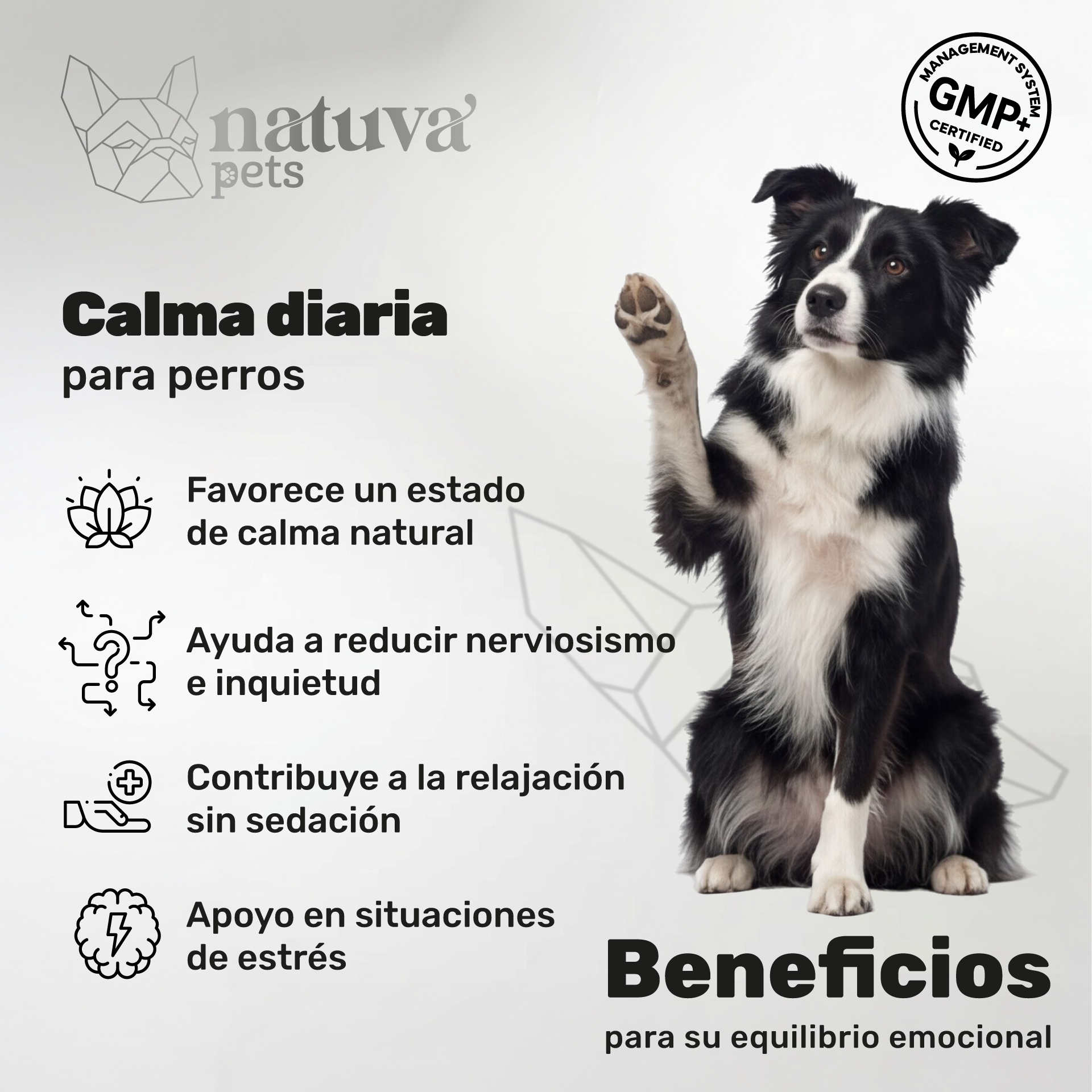 Pack 2x Calmante Para Perros. Calma Diaria Y Bienestar. Suplementos Mascotas. 240 Masticables. Natuva Pets_1