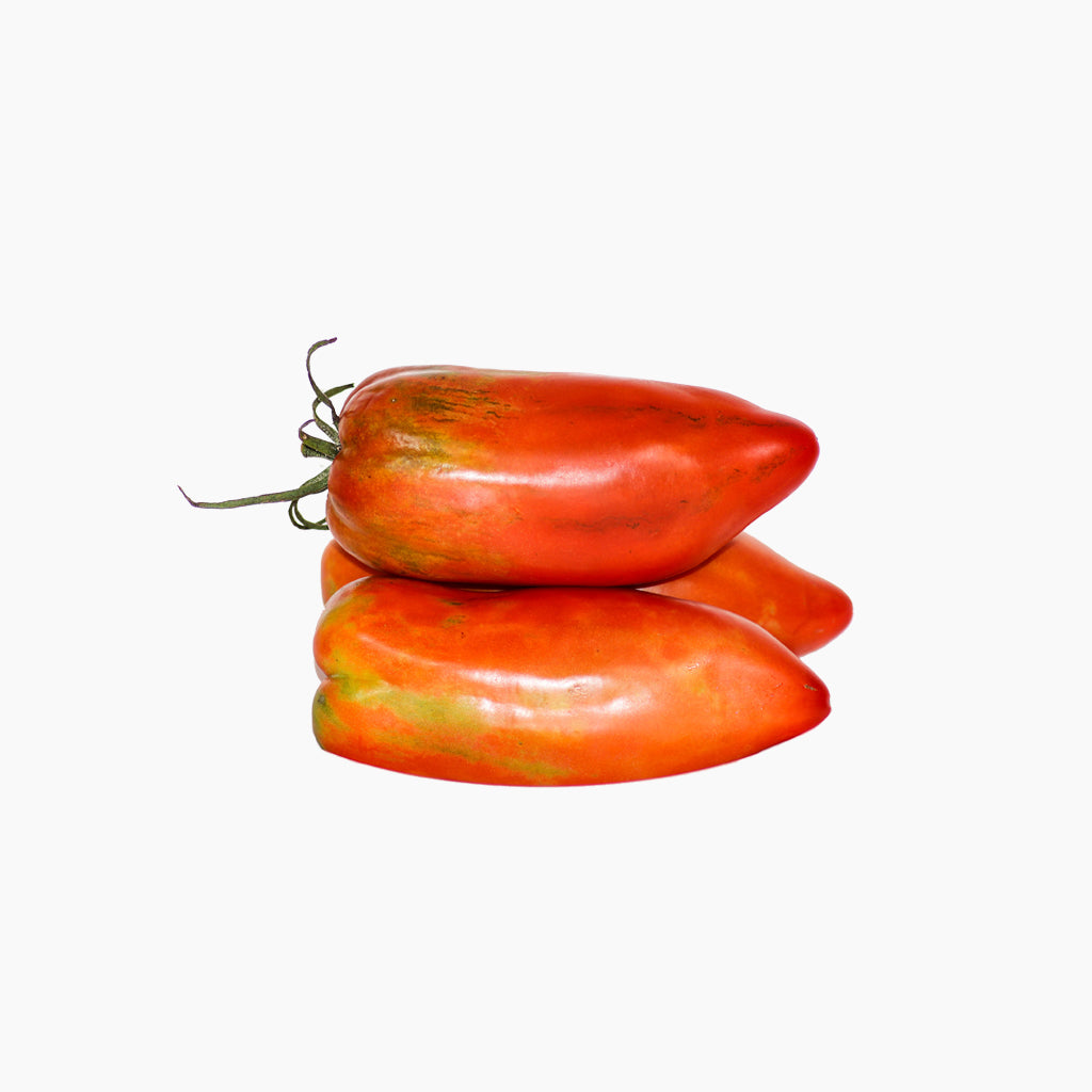 Plantón Tomate Bitxo 2 Unidades - Plantabo_1