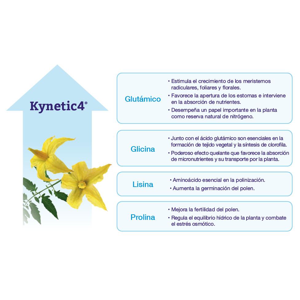 Kynetic4 Bioestimulante Floração e Fixação Seipasa 250 ml