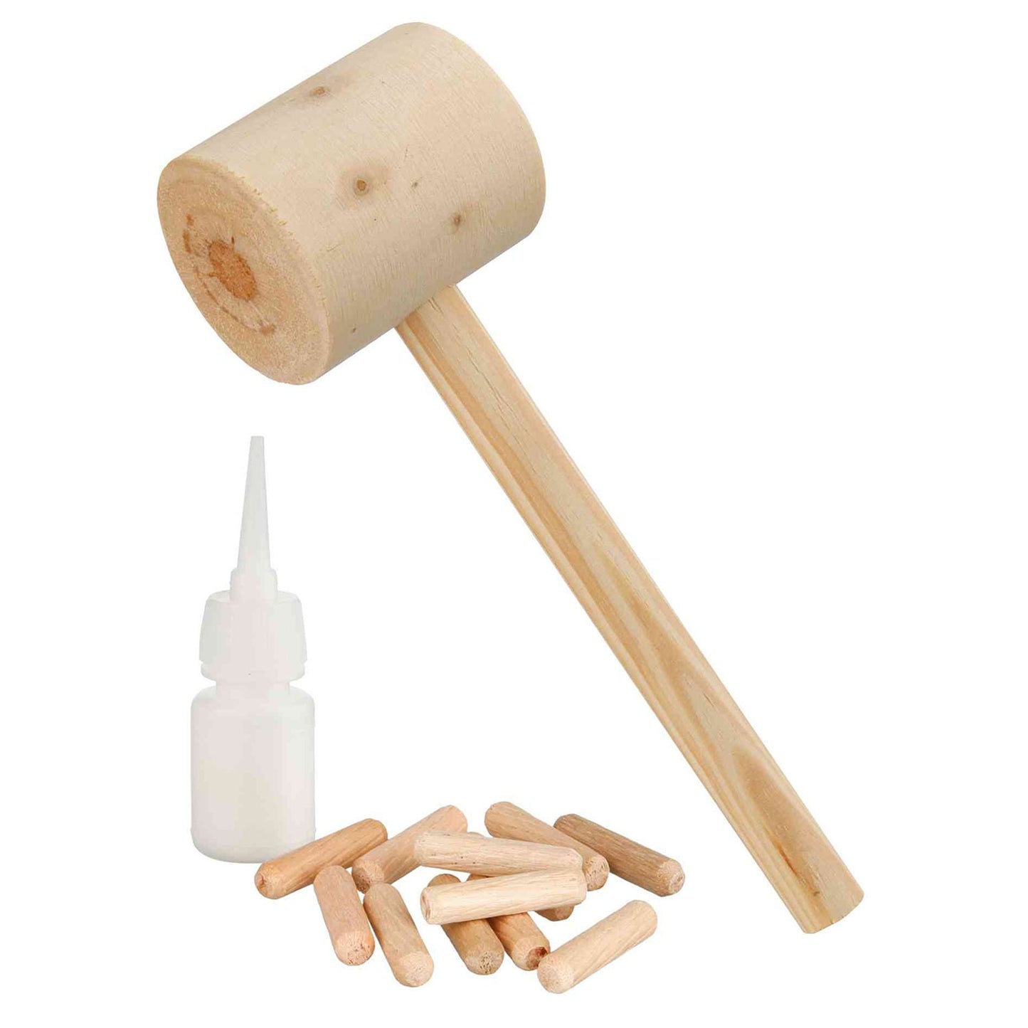 Kit educativo para construção de uma caixa-ninho