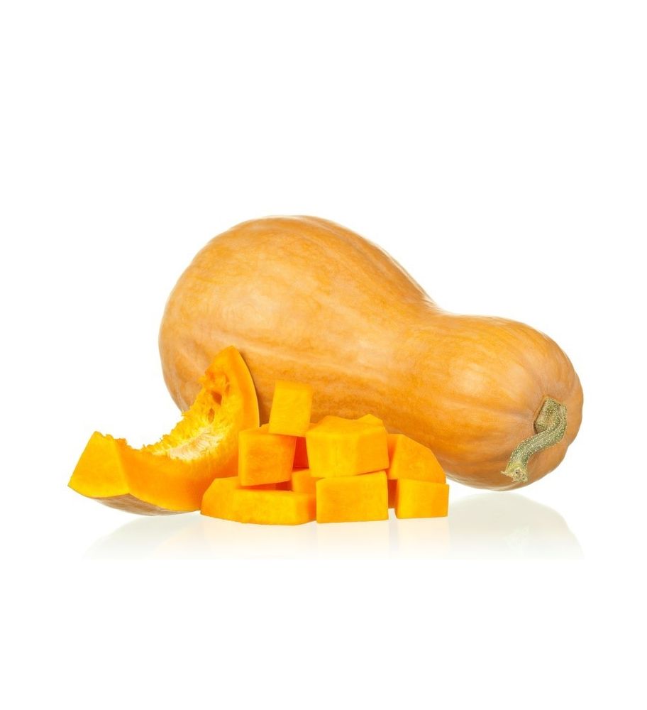 Plantón Calabaza Tipo Violín O Cacahuete. (10 Unidades)_0