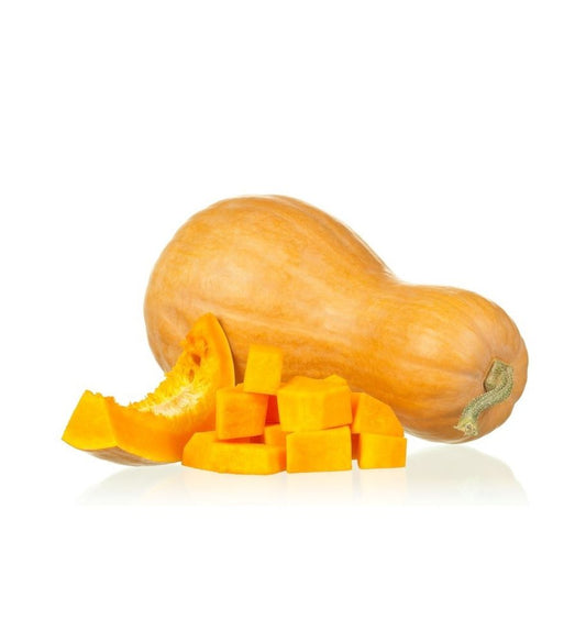 Plantón Calabaza Tipo Violín O Cacahuete. (10 Unidades)_0