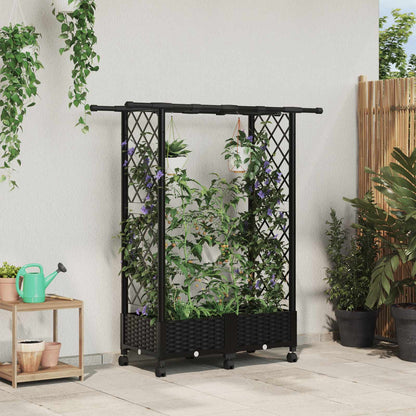 Cama Elevada Con Trellis Y Techo Negro 122,5 X 40 X 127 Cm Pp_1