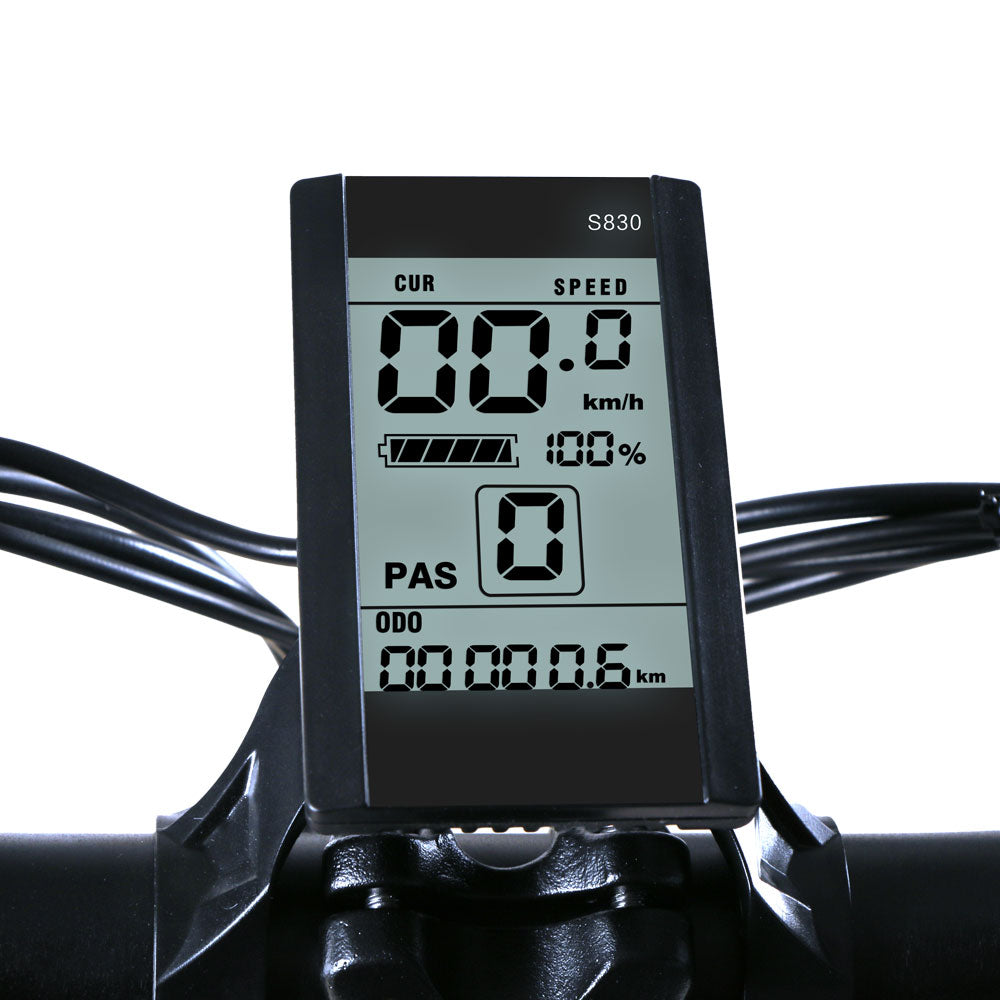 Bicicleta Eléctrica Plegable Samebike Xwlx09 750w-48v-10ah (480wh) - Rueda 20 X 4 Color Plateado_4