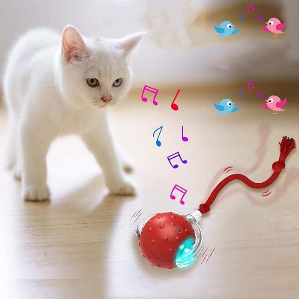 Intimeg Pelota Interactiva Roja Para Gatos_2
