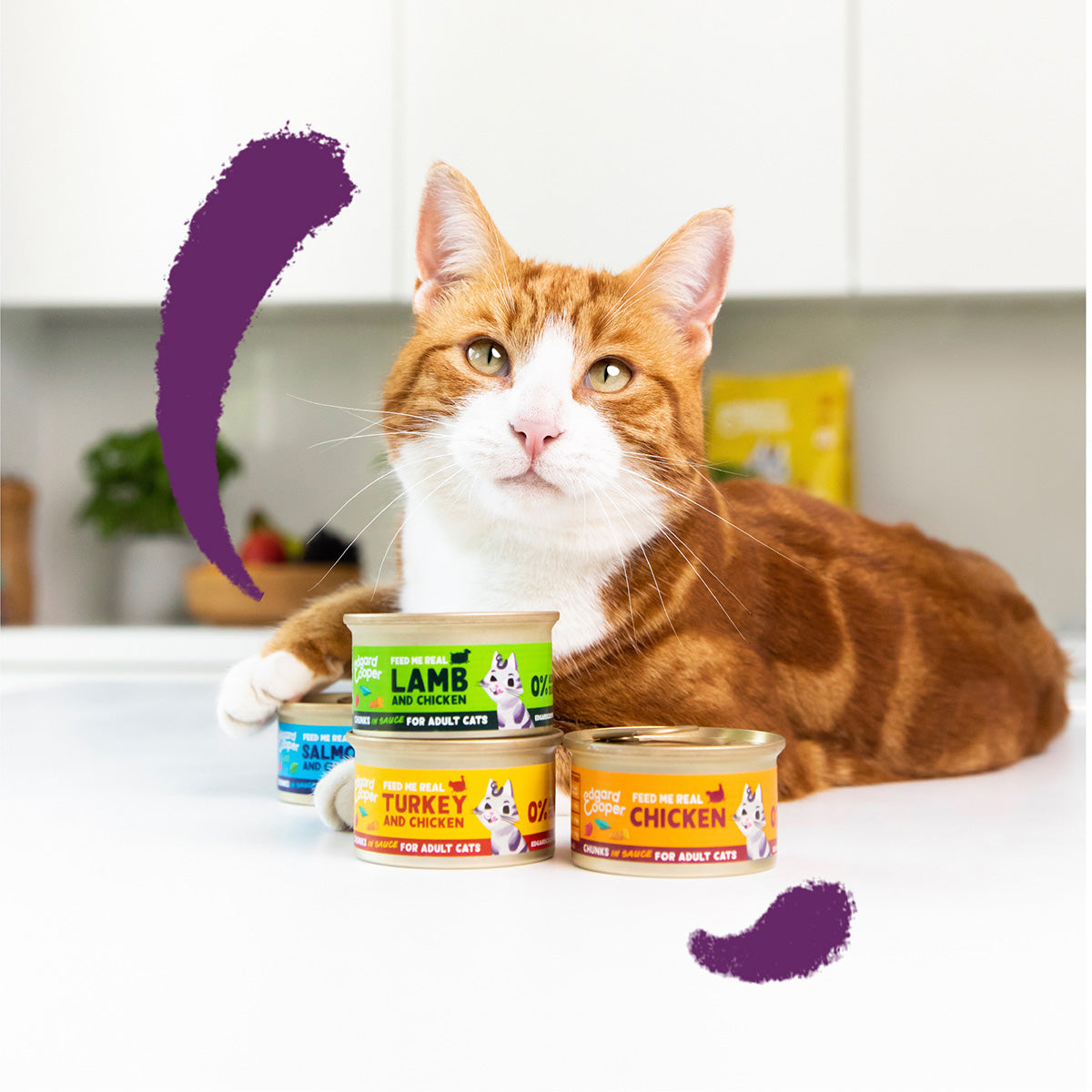 Edgard &amp; Cooper Ração Húmida para Gatos com Molho de Peru e Pedaços de Frango 85g