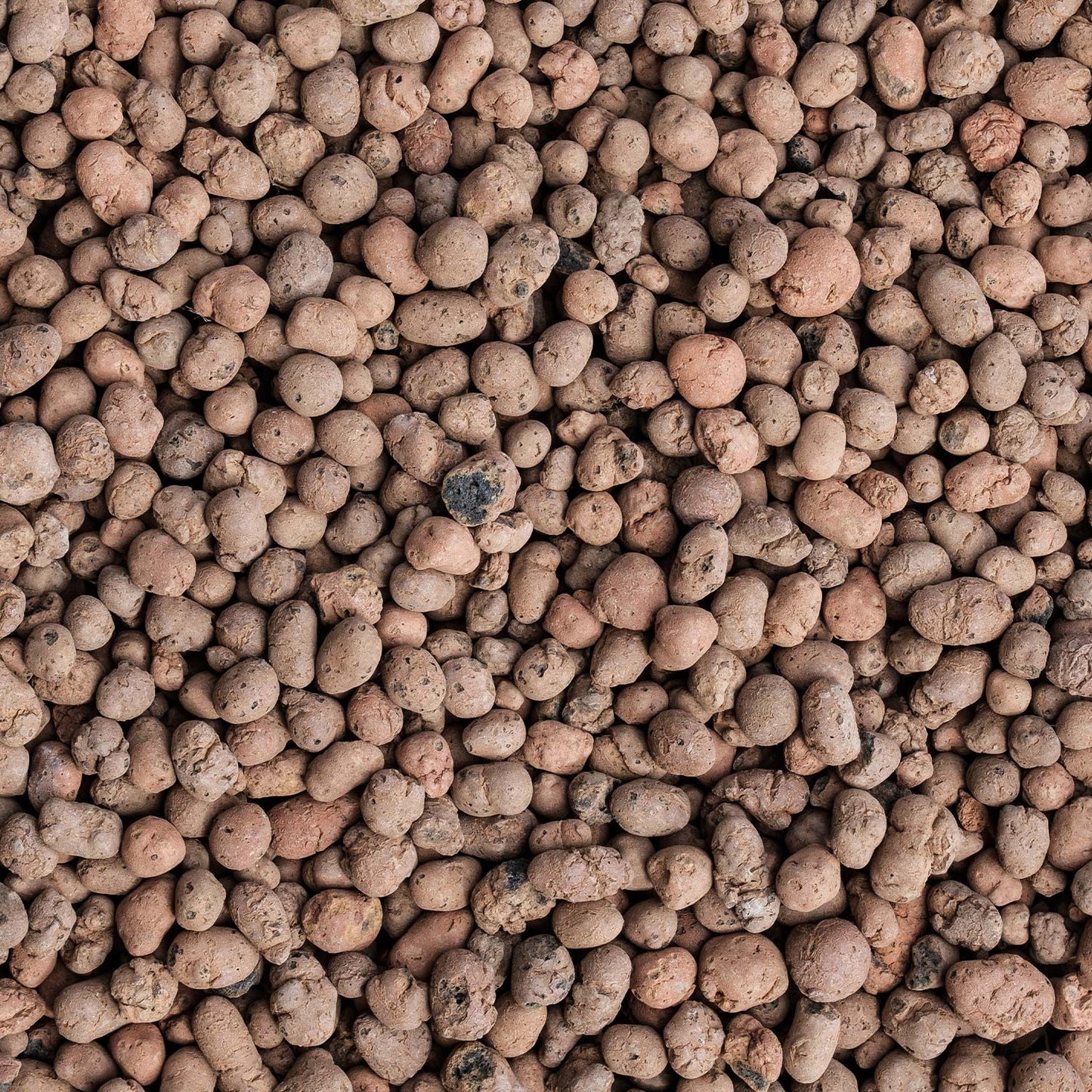 Planeta Huerto Argila Expandida 15 Litros