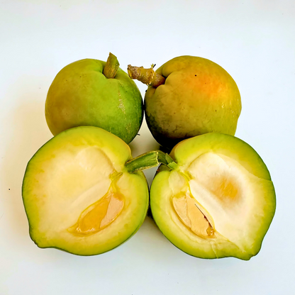Zapote Blanco De La Axarquía 1/2 Kg_0