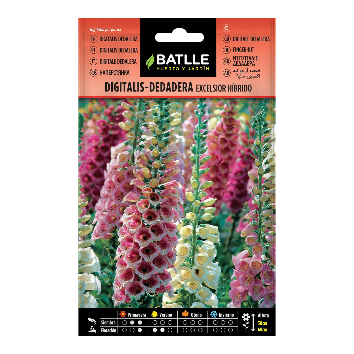 Sementes híbridas Digitalis-Foxglove Excelsior