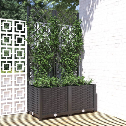 Jardín Negro 80 X 40 X 136 Cm_1
