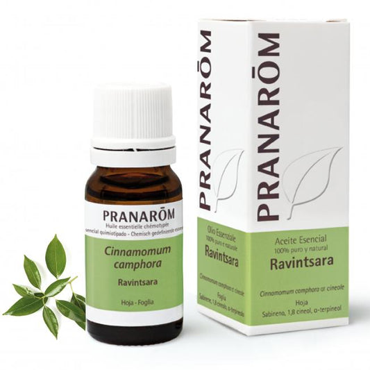 Óleo essencial Ravintsara Pranarom 10 ml