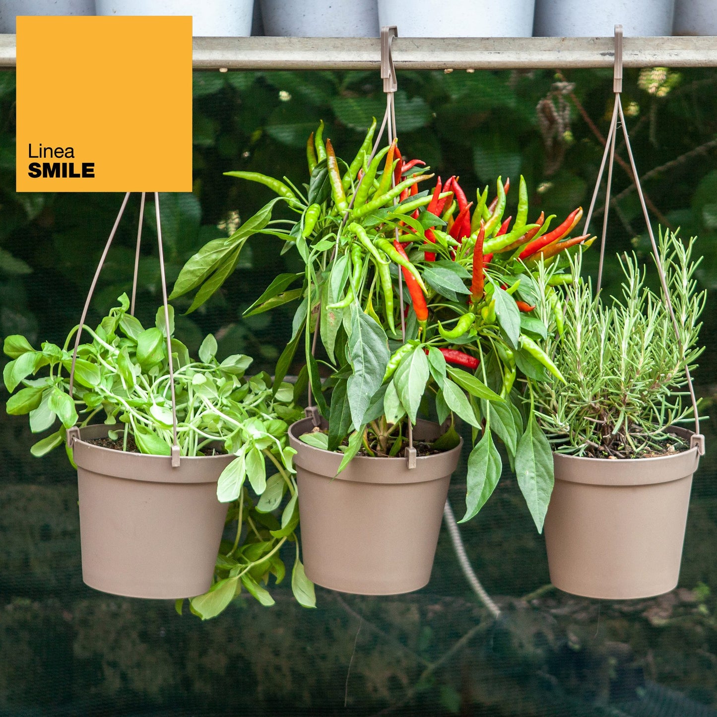 5 Macetas Cilíndricas Ø 10 Cm Con Ganchos, De Polipropileno Antracita