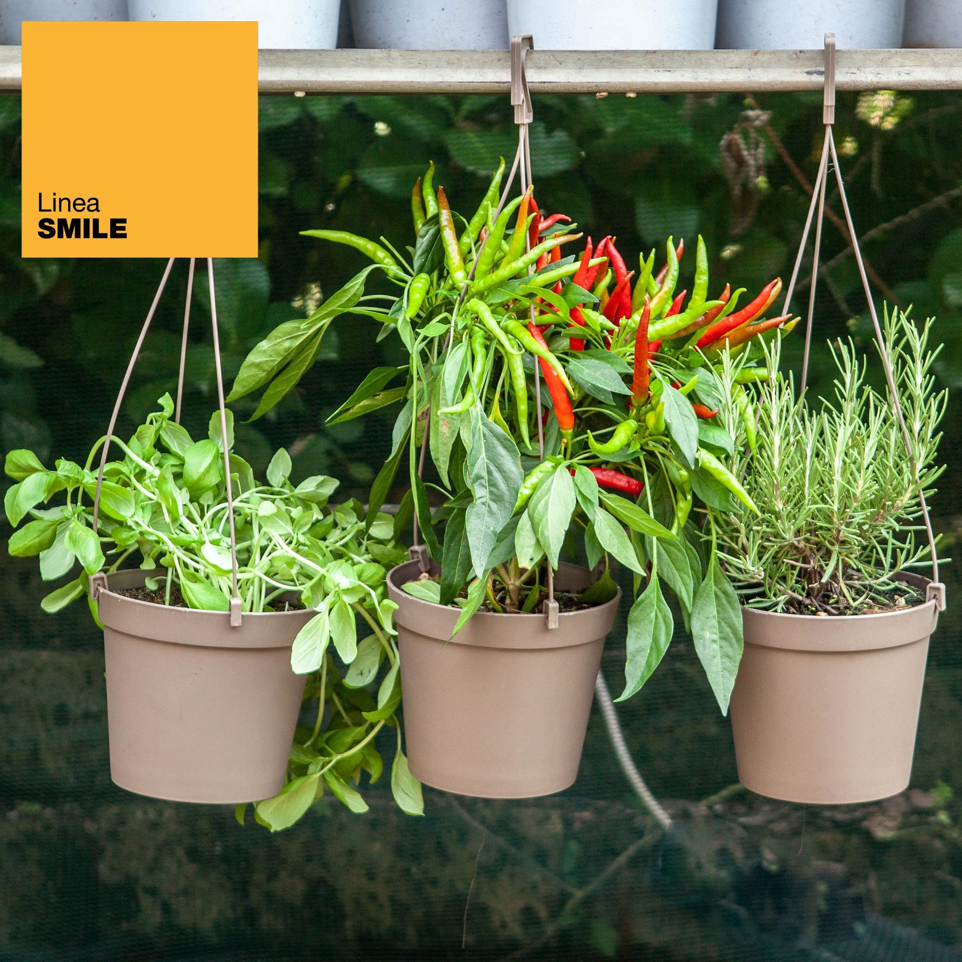 3 Macetas Cilíndricas Ø 14 Cm Con Ganchos, De Polipropileno Gris