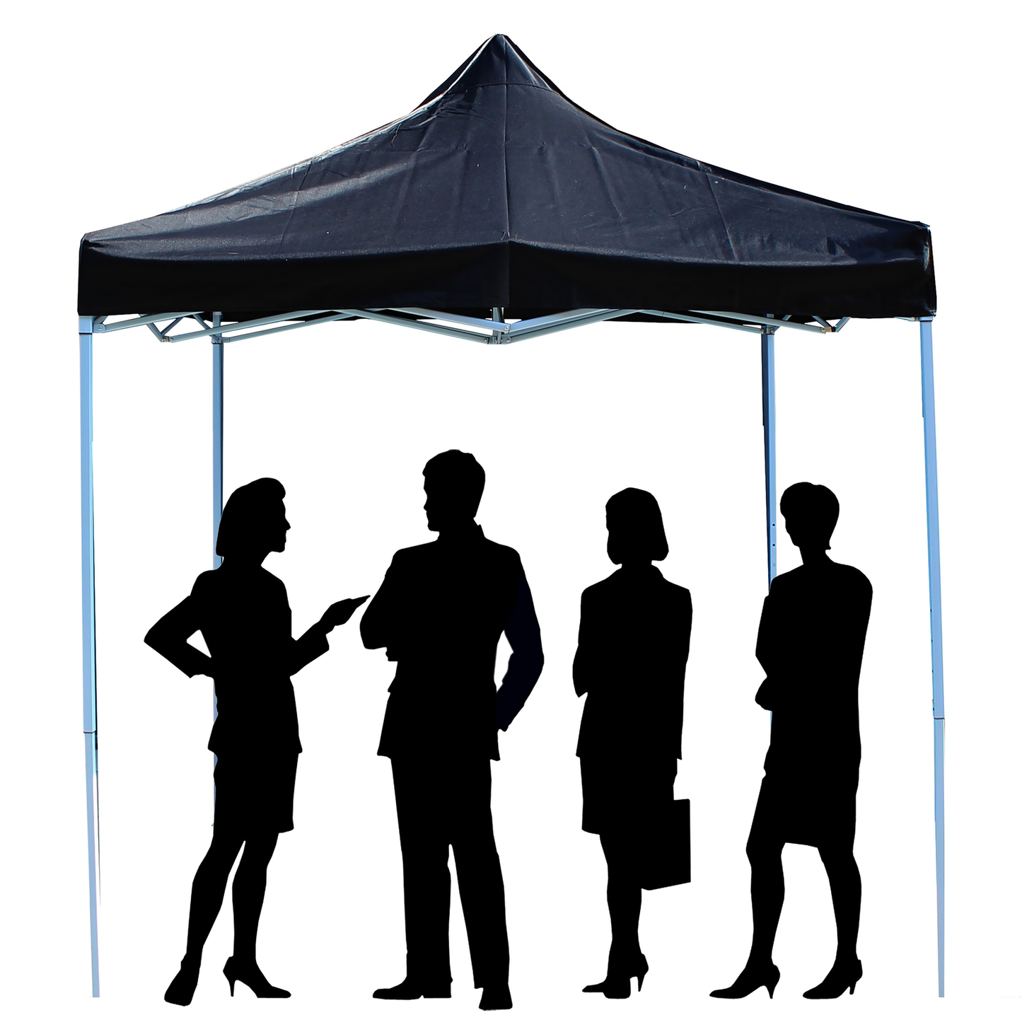 Carpa Plegable 300x300cm Tienda Negra_2