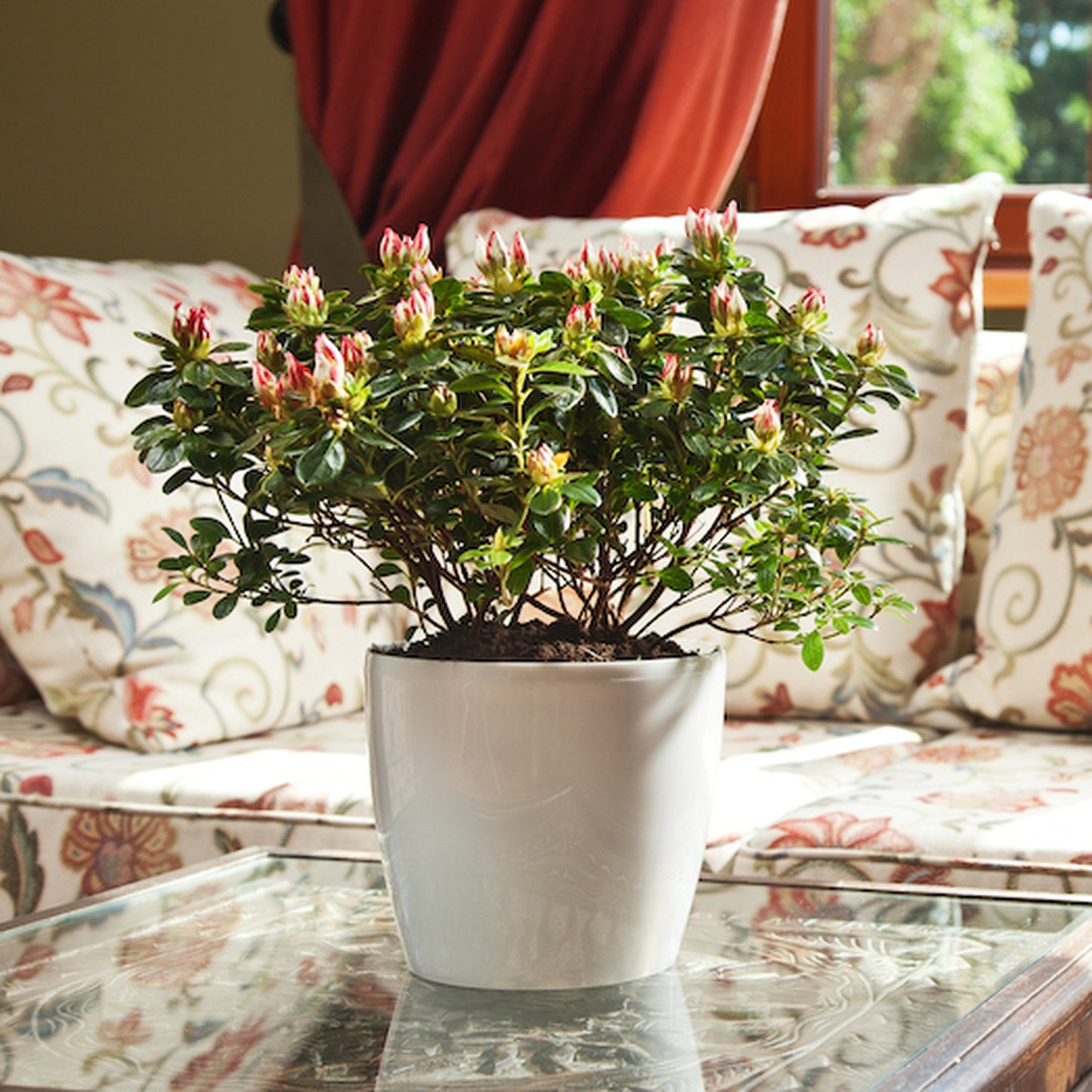 Macetero Magnolia 360 Gris