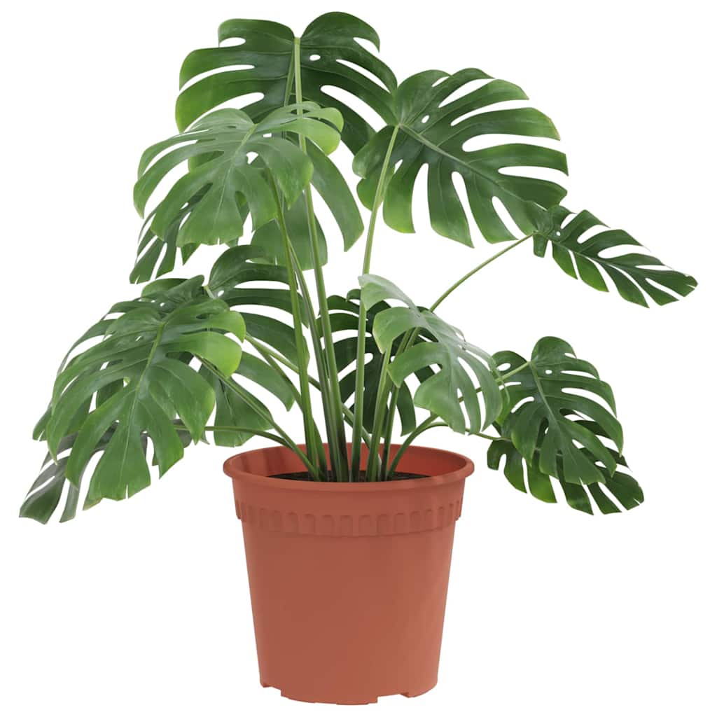 Maceta Redonda Para Flores 24 Uds. Rojo Ladrillo Ø 19 X 16 Cm_2