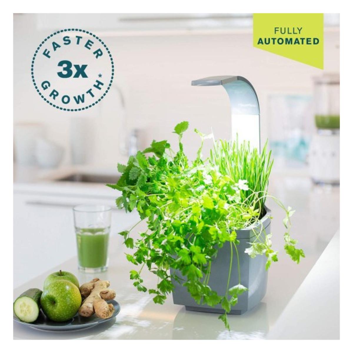 T3 Kitchen Garden Vaso autocultivante 20 x 17,5 cm